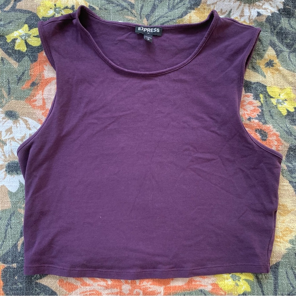 Express plum cotton spandex crop top xs small